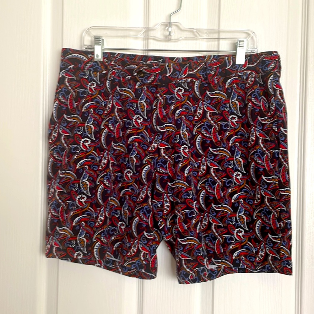 Murano Multi Color Paisley Shorts